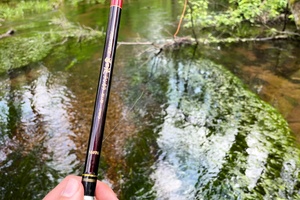 Mažo miškų upelio stebuklai