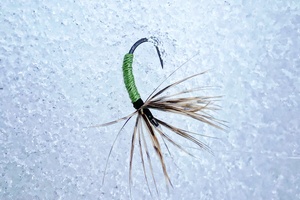 Ankstyvo pavasario sniege