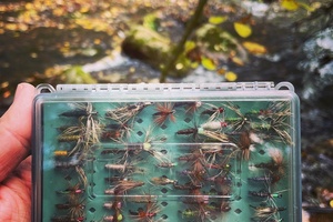 Kaip tenkara pakeitė mano gyvenimą