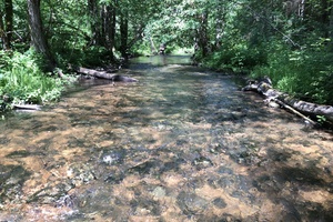 Neries baseino tyrinėtojas