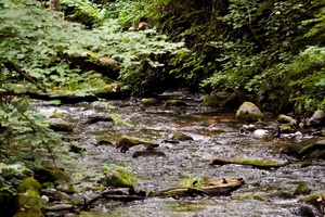 Neries baseino tyrinėtojas